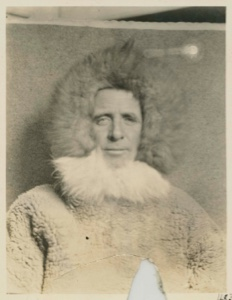 Image of Portrait of Donald MacMillan in furs